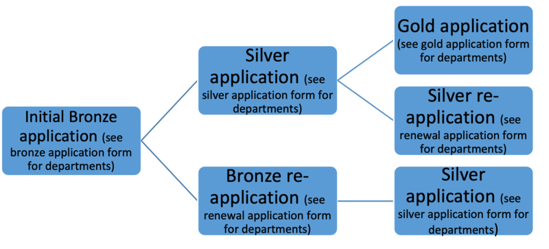 Blue flow diagram showing bronze, silver and gold applications